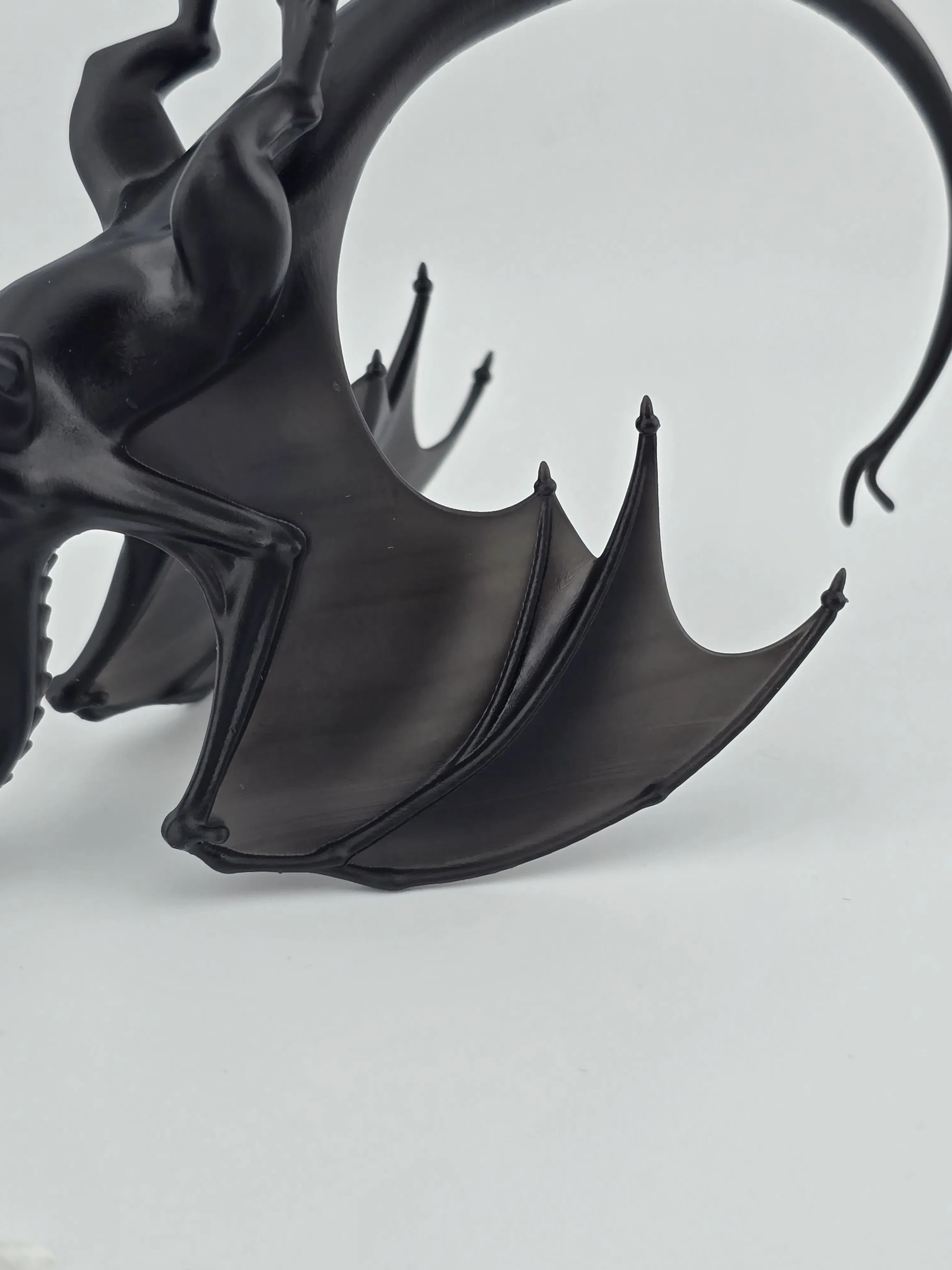 Pern Style Dragons – Image 5